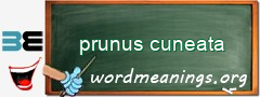 WordMeaning blackboard for prunus cuneata